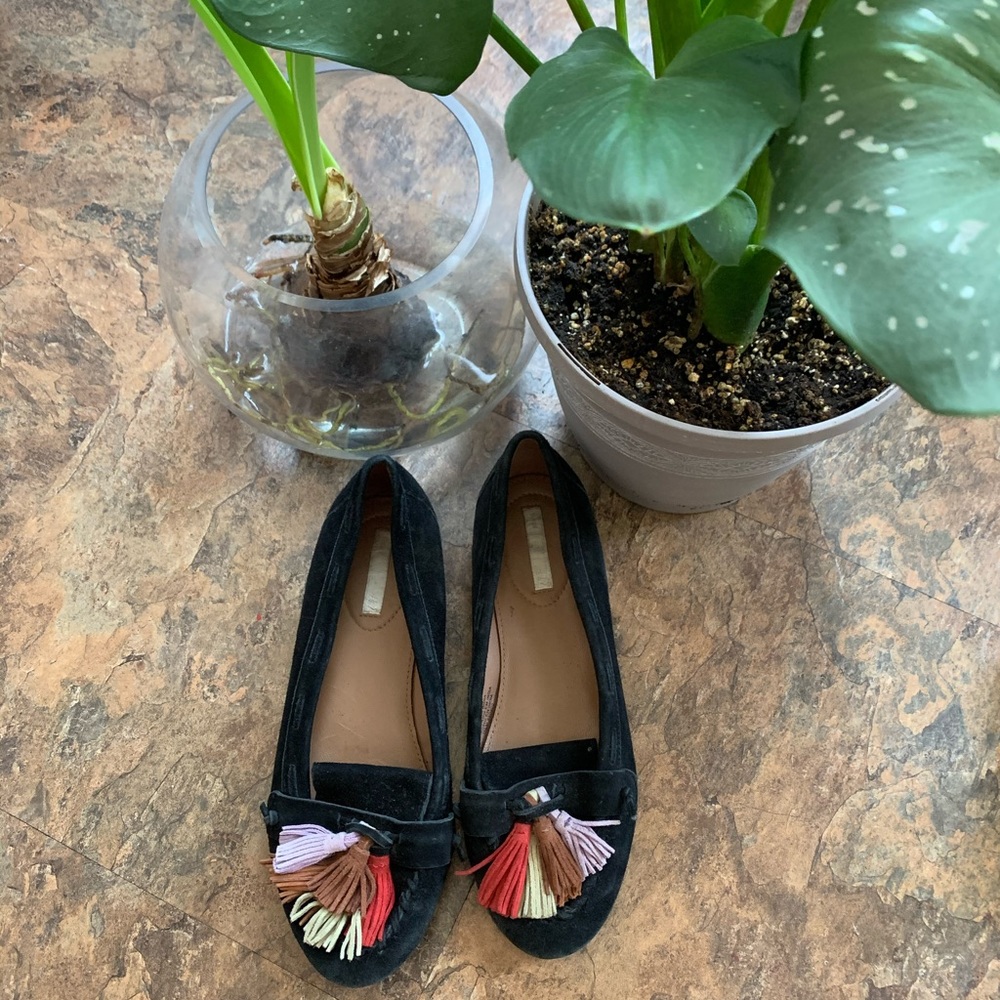 Suede flats - Picture 6 of 9
